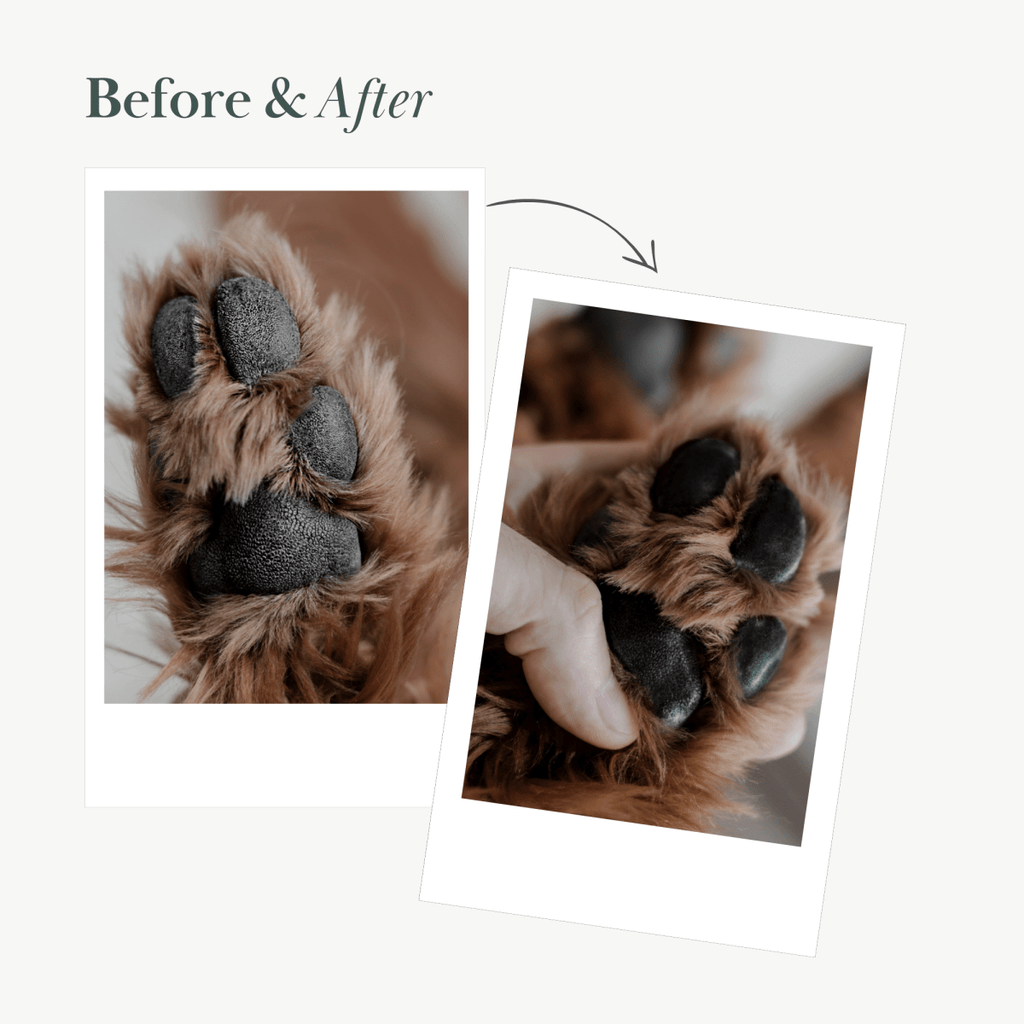 Dog Vegan Nose and Paw Balm
